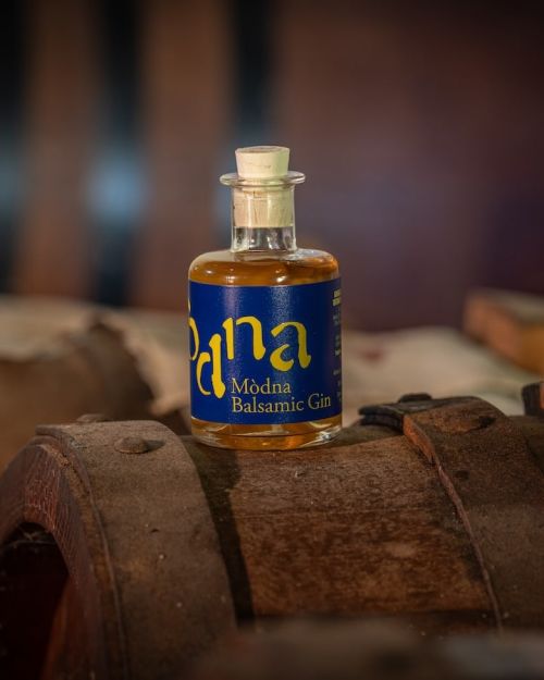 Mòdna Balsamic Gin Mini
